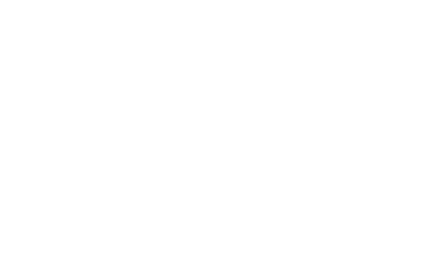 Dynvex